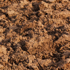 filldirt imageFisher Brothers Sand and Gravel | Flint Michigan Fisher Brothers Sand and Gravel | Flint Michigan